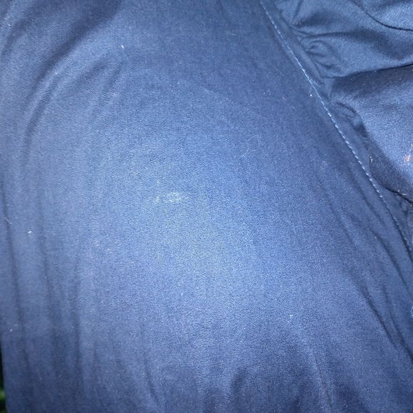 Ruby Rox Dress with collar - Picture 8 of 15